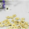 Chinesischer Chrysanthemum Tee getrockneter Blüten Tee durch guten Geruch